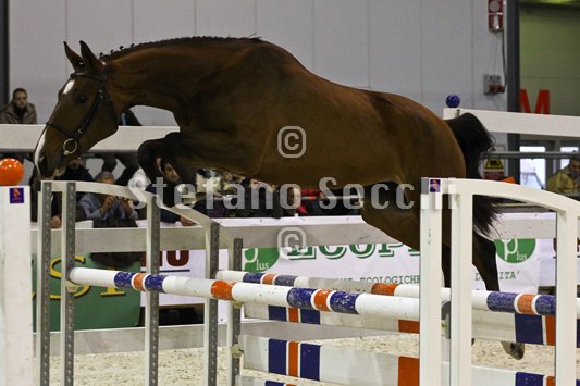 NADA BRAUN_MILANO_2010_SS3_1549.jpg